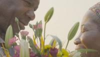 Locarno Open Doors Buzz Title ‘Chapa 100,’ From Ique Langa, Adds Luminalia, Mo Harare, Mostafa El Kasha (EXCLUSIVE)  