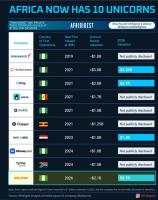 Africa’s unicorn club grows to 10, Nigeria remains continent’s dominant hub