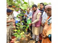 India News | Nayab Singh Saini Leads Haryana's 77th State-Level Van Mahotsav, Calls for People's Movement to Protect Environment