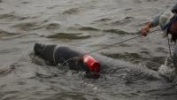 Experts free manatee caught in crab trap lines near St. Simons