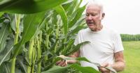 STATE OF THE FARM: Financial health of American farms 'strained' by many factors