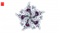 Scientists used AI to build 16 new viruses, raising fears of AI-designed bioweapons