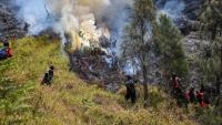 Indonesia battles Mount Bromo wildfire as El Nino takes root