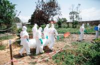  WHO chief urges stronger Ebola response in DRC visit 