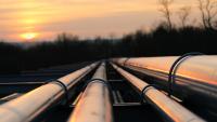 Vitol backs energy hub at Tanga port with governments of Tanzania, Uganda
