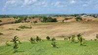 Residents seek answers as Caroni lands cleared…