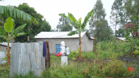 DRC Ebola outbreak exceeds 4,000 cases amid critical spread