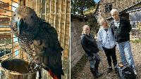 Saddleworth wildlife rescuers help reunite stolen parrot with owner after nine years