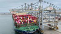 DP World reorganises 300 jobs in Europe, with redundancies expected