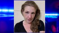 Woman accused of leaving dog inside 114-degree car in New Hampshire