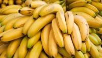Ecuador banana exports rise 5.5% in H1 2026