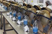 Environmentalists petition New Jersey over horseshoe crab bloodletting