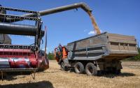 Black Sea strikes by Russia, Ukraine disrupt global grain shipments