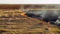 Government policy undermining UK food resilience, warns IGD