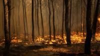 Greek mayor among three charged over wildfire near Athens