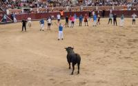 SANSE: Fiesta, music and bulls near Spain’s capital