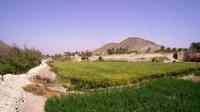 Oman expands organic farm Yuzu to boost food security and local production