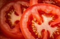 Tomato Gene Could Help Boost Yields