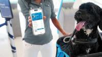 Pet travel platform wins international award