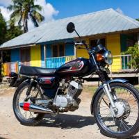 Cedric E. Stephens | Silent road hazards – why we need micro-mobility rules now