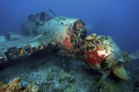 Historic Drought Reveals WWII Warships Hidden Beneath Europe's Second-Longest River