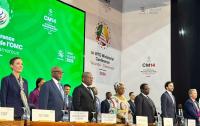 Leveraging WTO MC14 Investment Facilitation for Development to Accelerate Structural Transformation in Cameroon