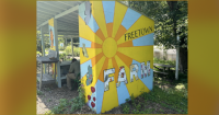 Community Ecology Institute's Freetown Farm cultivates community through nature