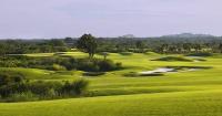 Swing Amid Black‑Rock Greenery! Discover Another Way to Holiday in Hainan