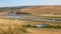 How drought is affecting all aspects of UK agriculture
