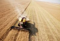 Kazakhstan Flour Exports Surge as Afghanistan Drives Demand