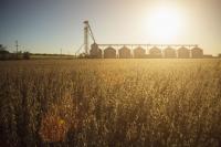 Ag Economist Says Fertilizer Prices Could Go Higher