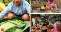 Meet Katie Stagliano: This 9-year-old South Carolina girl grew a 40-pound cabbage for a school project and inspired 100-plus youth-run gardens