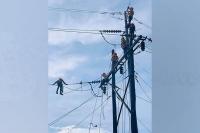 Electricity spot market prices decline in July