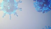 Scientists create AI-designed viruses in groundbreaking study