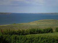 Call for Interest: Environmental History Consultants – IHC Consulting Services Inc.