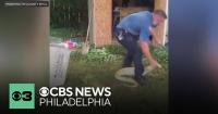Burmese python removed from New Jersey home after taking shelter in a shed