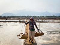 Private Sector Urges Stricter Import Controls to Protect Cambodia’s Salt Industry