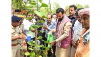 Haryana CM calls for people's movement for environmental conservation