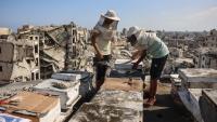 Gaza beekeeper starts again on rooftop amid ruins of war