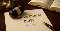 Refaluwasch Journal of Knowledge and Culture joins territorial organizations in US Supreme Court environmental case