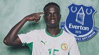 Iliman Ndiaye's team-mate could answer Andy Burnham's familiar Everton transfer demand