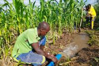 How Ethiopia Plans to Transform 9.5 Million Farmers into Agribusiness Owners