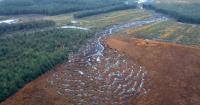 Fears of fresh environmental disaster as controversial Meenbog Wind Farm returns to planning