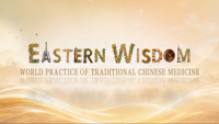 Five-Part Micro-Documentary Series “Eastern Wisdom, World Practice” Launches Globally