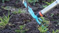 Gardeners urged to place 1 household item over weeds in August — makes them wilt and die