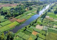Climate pledges could put the world's food supply under pressure