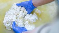 Biotech partners with Heriot-Watt to turn whey into fuel