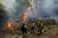 As fires burn and temperatures soar, it’s time to imagine a world beyond GDP