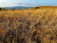 When Will Oklahoma Cool Down From The 2026 Heat Wave?