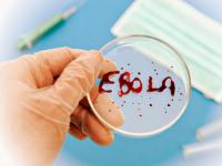 The risk of Ebola entering Armenia is low: Armenian Center for Disease Control